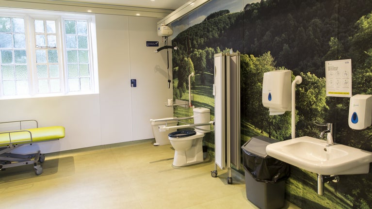 A room with a mural on the wall and accessible toilet facilities to the right and a window  on the end wall above a changing table.